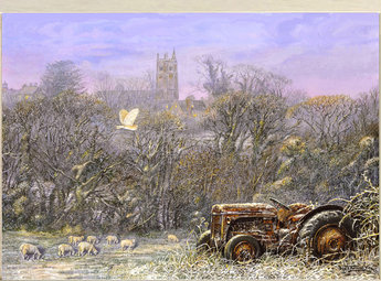 Image of Home to Roost, Barn Owl & Old Fergie, Daisy's Field, St. Columb Major.